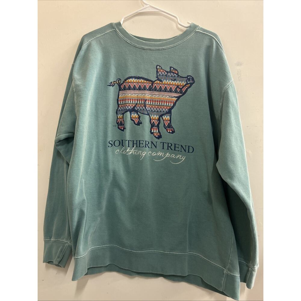 SOUTHERN TREND PIG Sweatshirt Green Sage Mint Blue Pullover WOMENS Size XL
